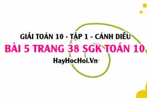 Giải bài 5 trang 38 Toán 10 tập 1 SGK Cánh Diều